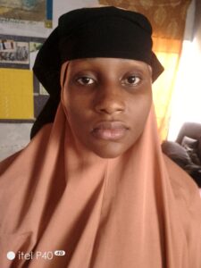 17585425324108551355237227134051